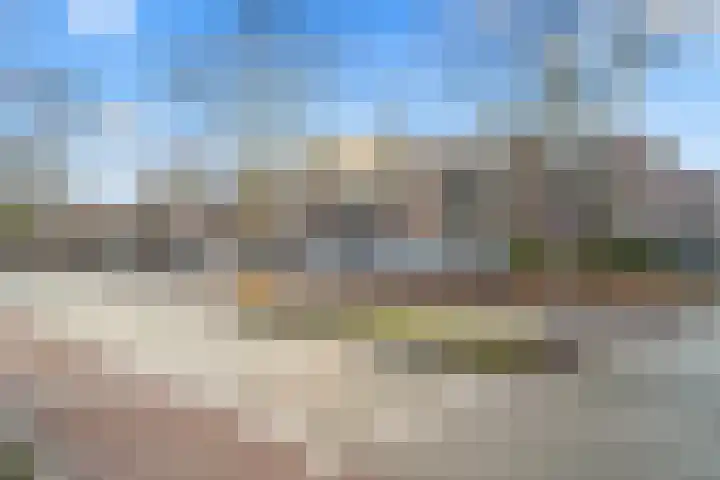 Aalscholver 13 Nieuwegein thumbnail 48