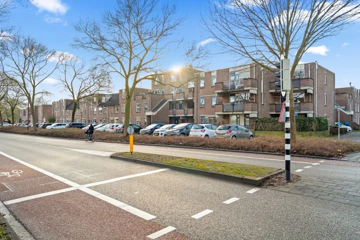 Aalscholver 13 Nieuwegein thumbnail 48