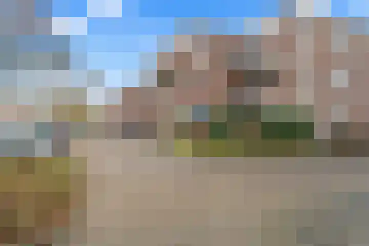 Aalscholver 13 Nieuwegein thumbnail 5