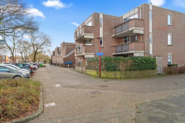Aalscholver 13 Nieuwegein thumbnail 5
