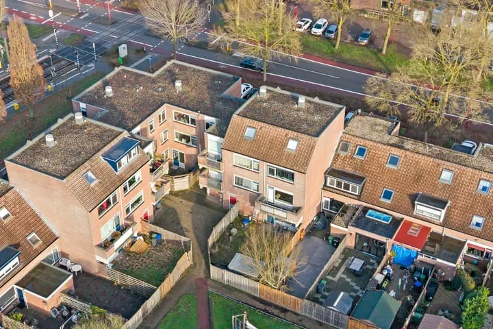 Aalscholver 13 Nieuwegein thumbnail 52