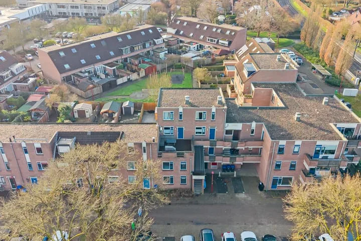Aalscholver 13 Nieuwegein thumbnail 53