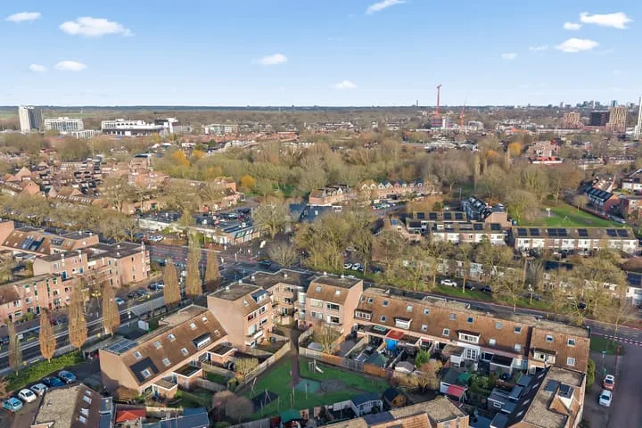 Aalscholver 13 Nieuwegein thumbnail 55