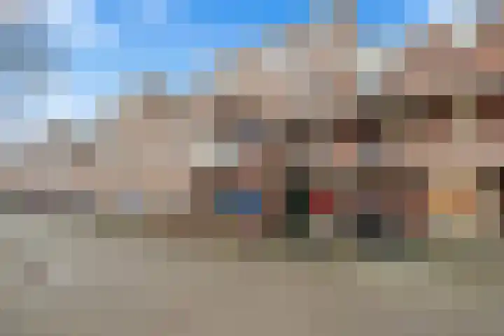 Aalscholver 13 Nieuwegein thumbnail 6