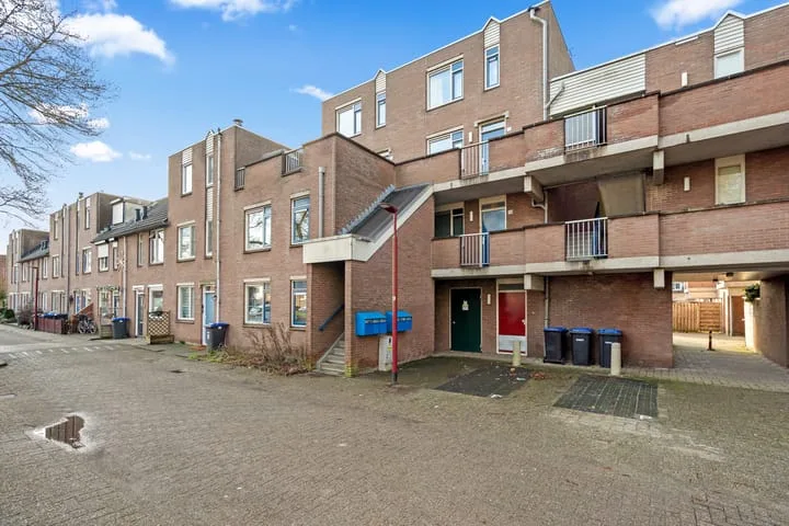 Aalscholver 13 Nieuwegein thumbnail 6