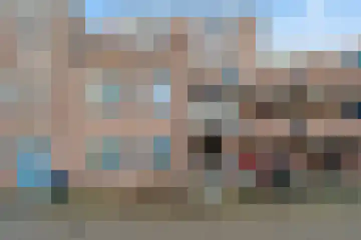 Aalscholver 13 Nieuwegein thumbnail 8