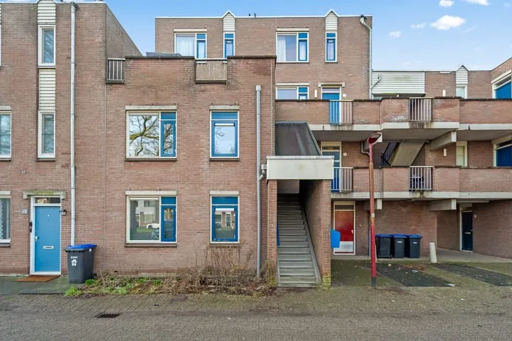 Aalscholver 13 Nieuwegein thumbnail 8