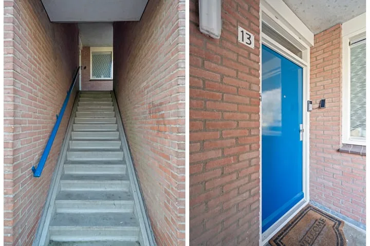 Aalscholver 13 Nieuwegein thumbnail 9