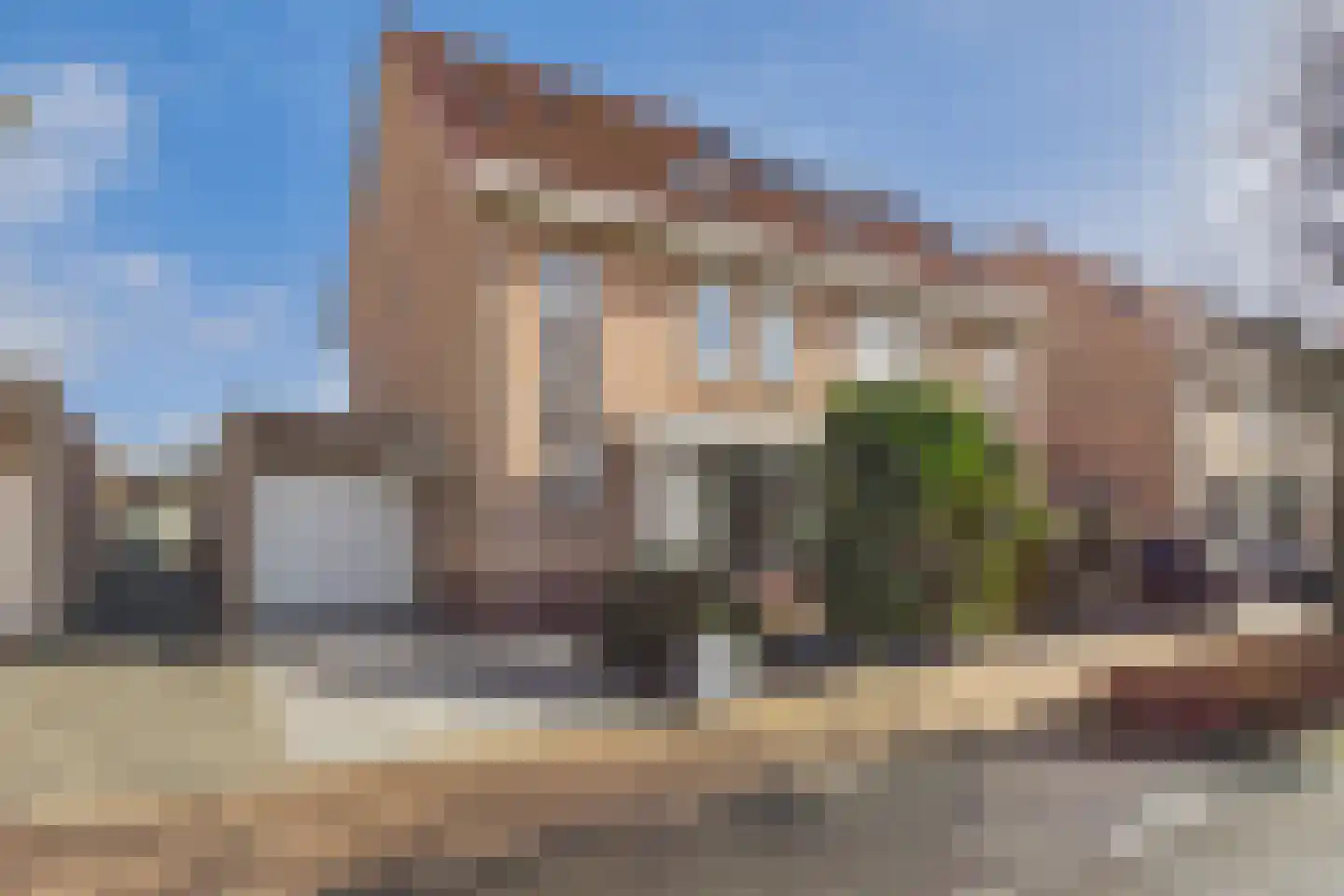 Aalscholver 14 Terneuzen