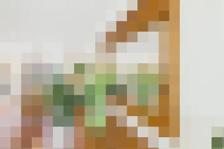 Aalscholver 14 Terneuzen thumbnail 10