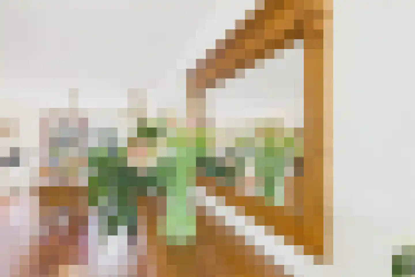Aalscholver 14 Terneuzen thumbnail 11