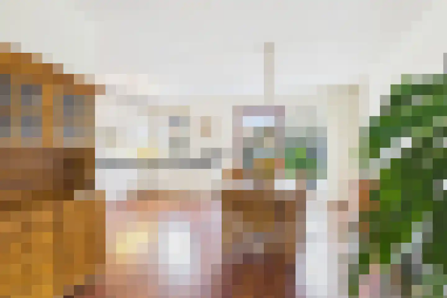 Aalscholver 14 Terneuzen thumbnail 12
