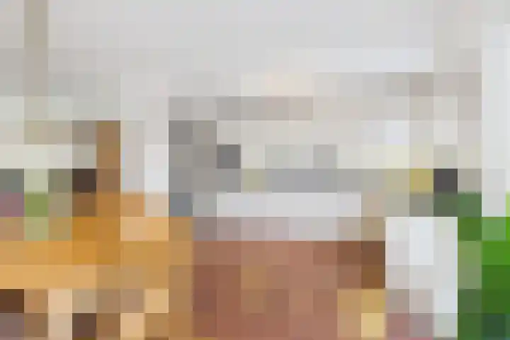 Aalscholver 14 Terneuzen thumbnail 12