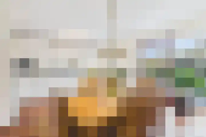 Aalscholver 14 Terneuzen thumbnail 13