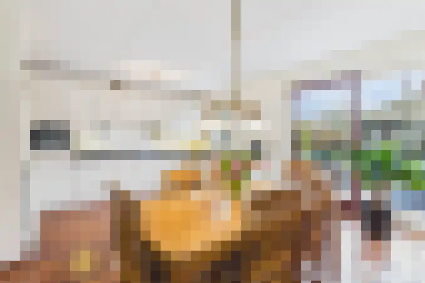 Aalscholver 14 Terneuzen thumbnail 14