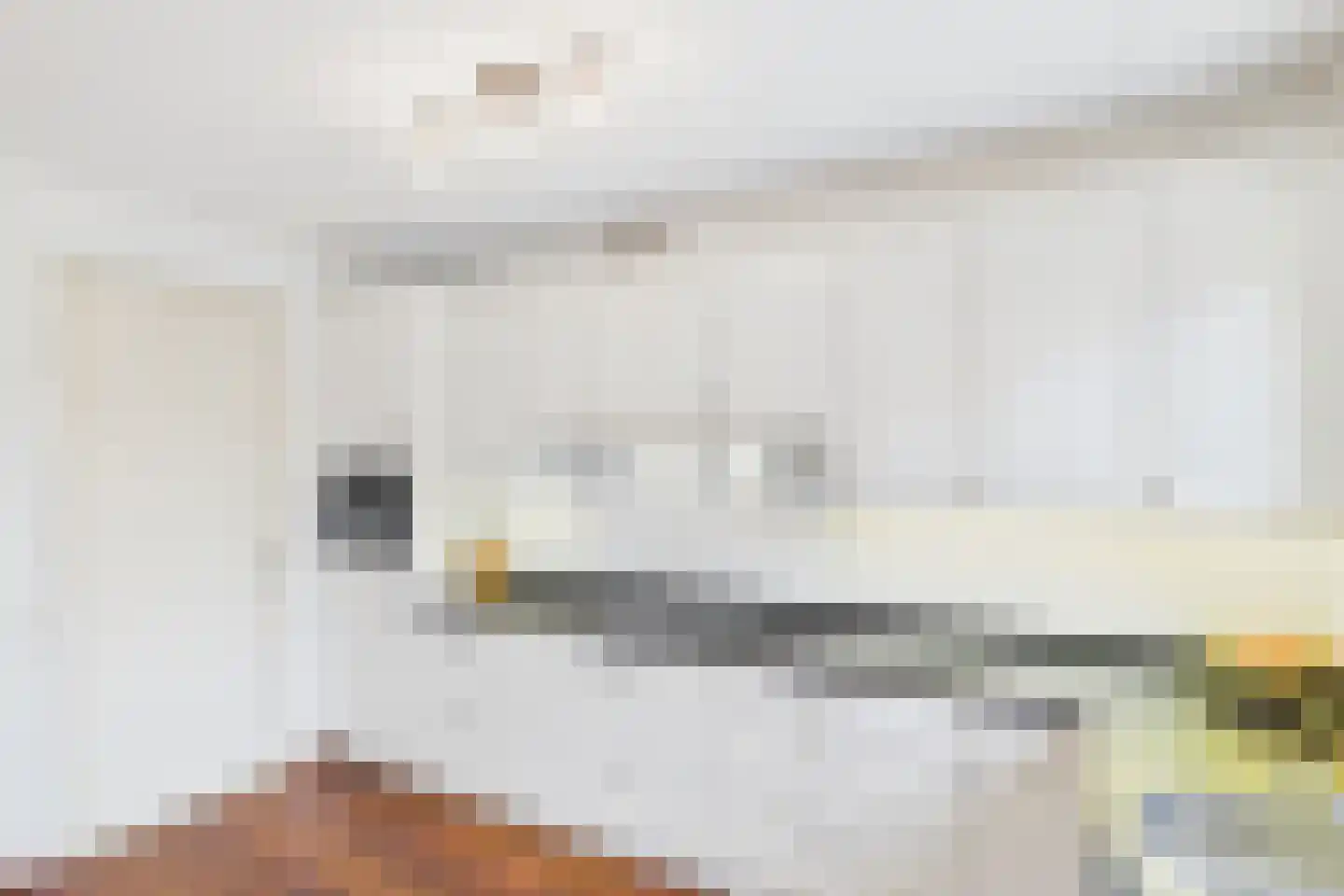 Aalscholver 14 Terneuzen thumbnail 16