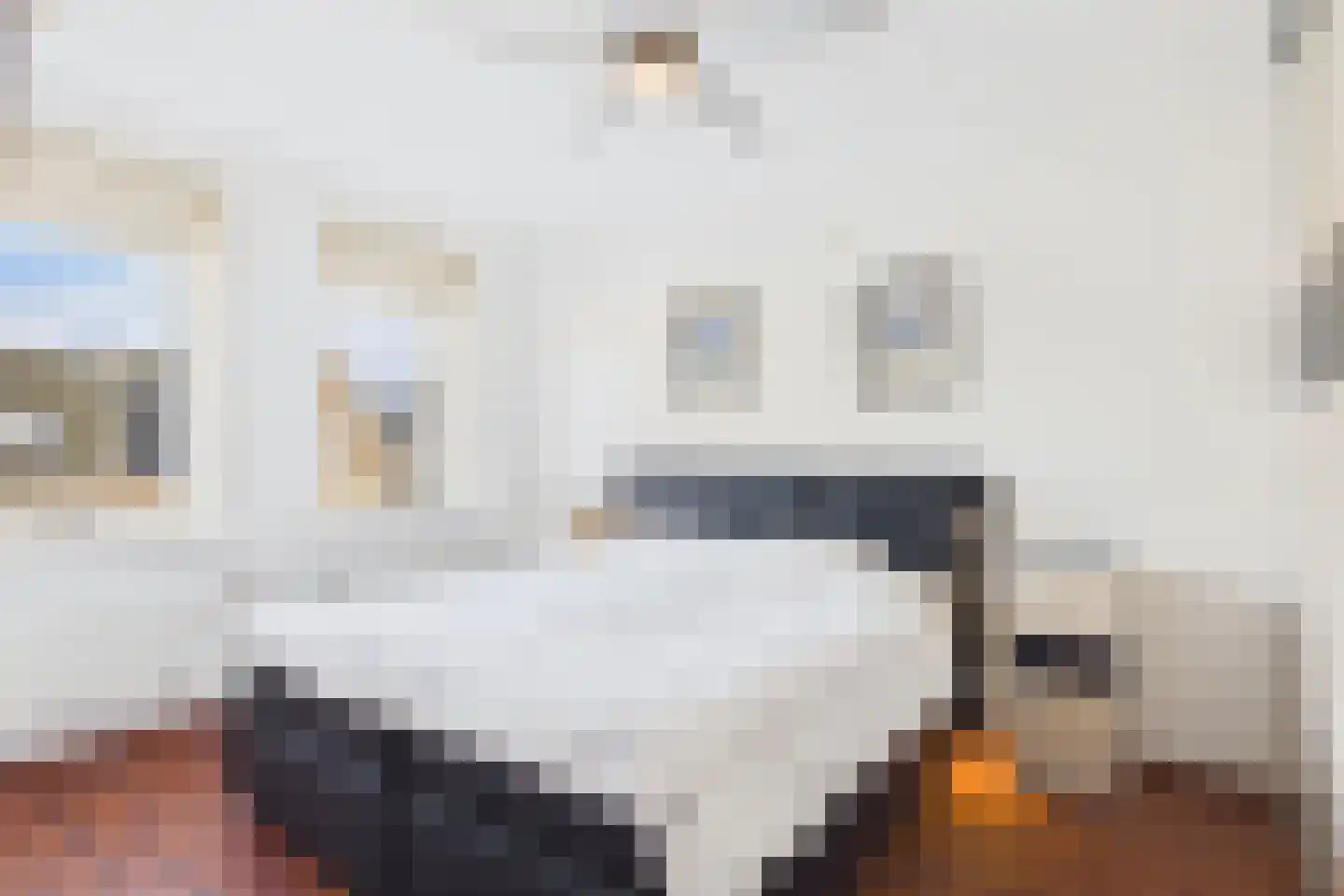 Aalscholver 14 Terneuzen thumbnail 18