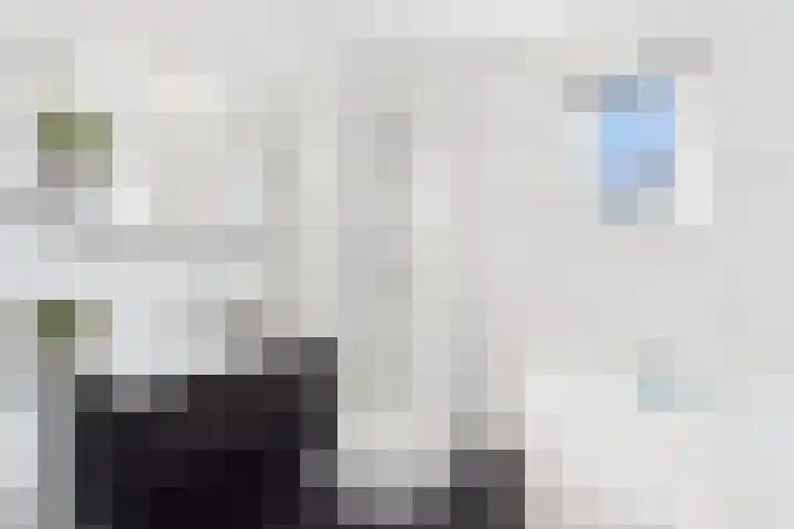 Aalscholver 14 Terneuzen thumbnail 19