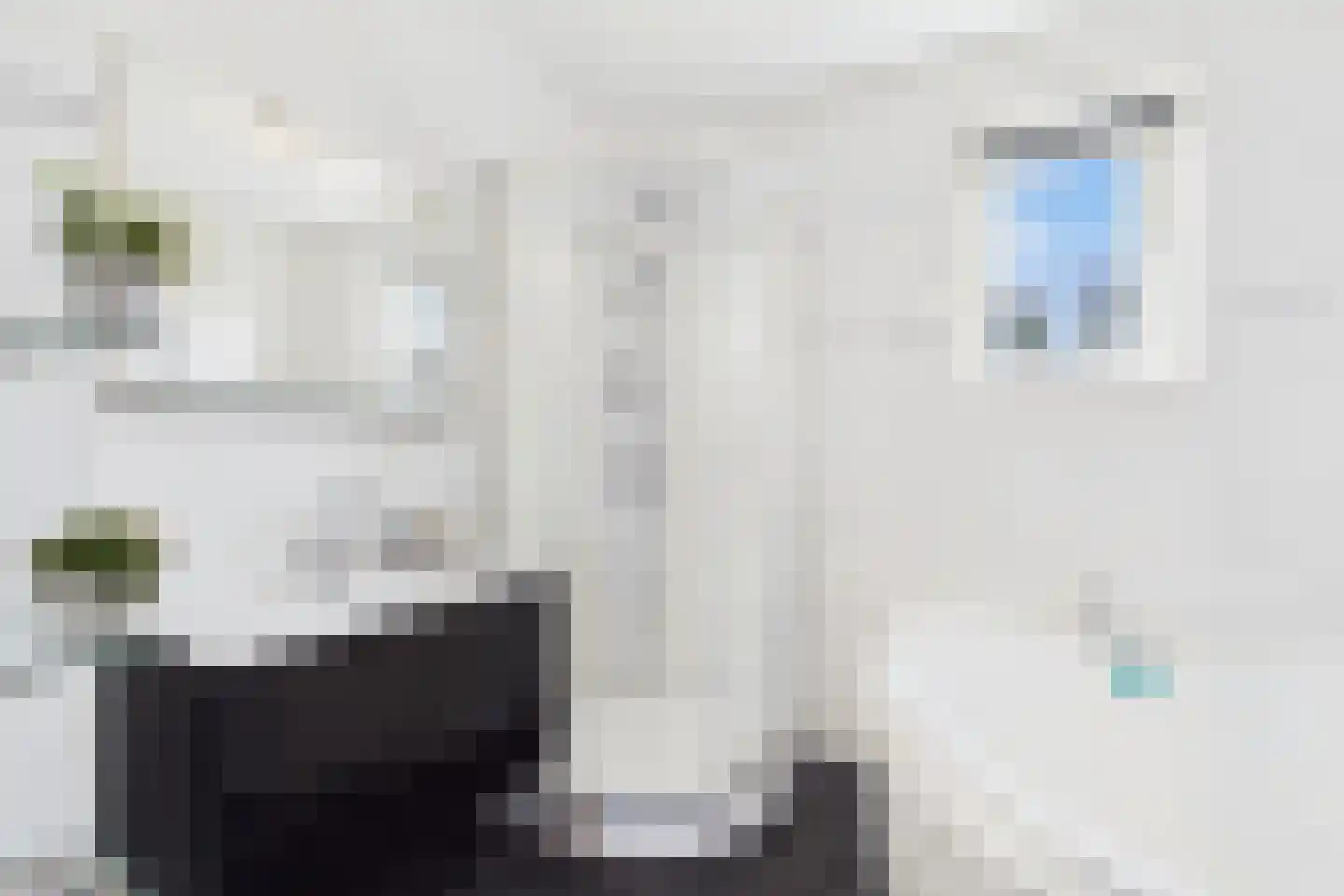 Aalscholver 14 Terneuzen thumbnail 20