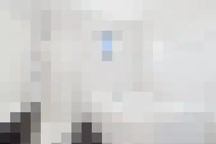 Aalscholver 14 Terneuzen thumbnail 20