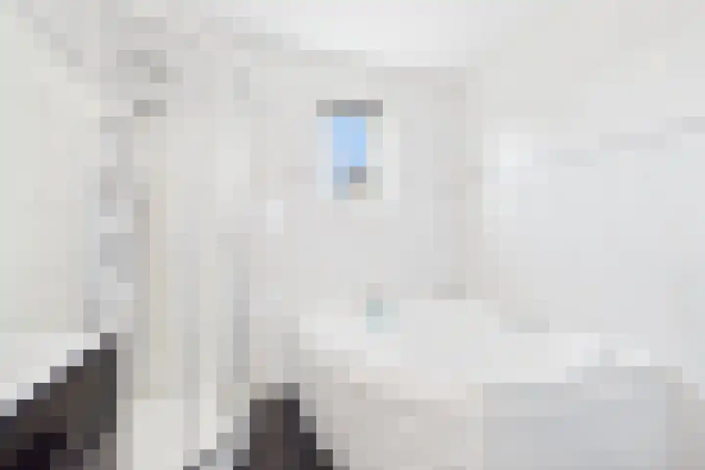 Aalscholver 14 Terneuzen thumbnail 21