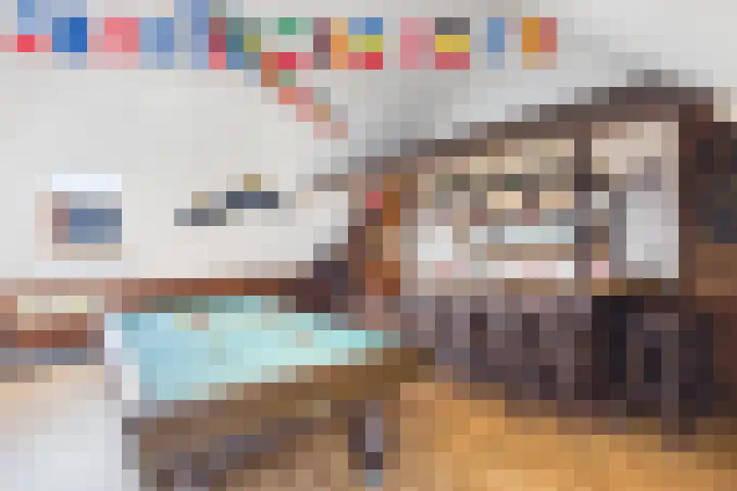 Aalscholver 14 Terneuzen thumbnail 25