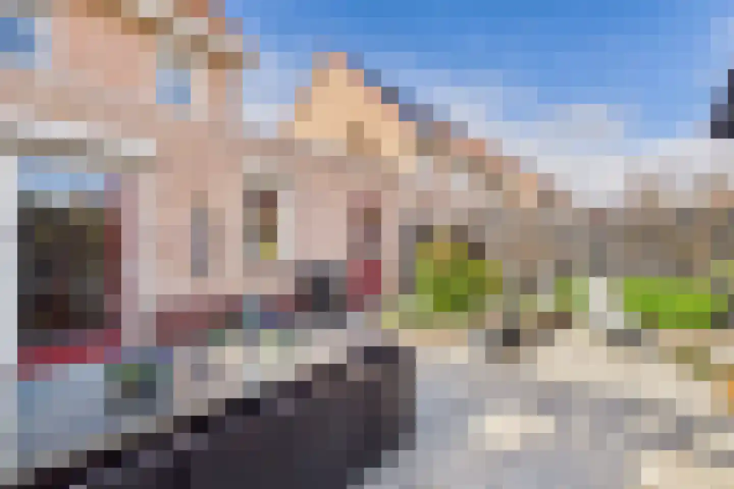 Aalscholver 14 Terneuzen thumbnail 28
