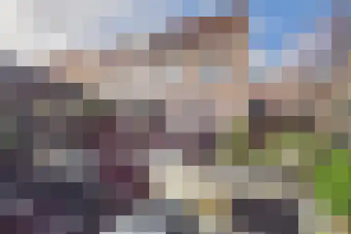 Aalscholver 14 Terneuzen thumbnail 29