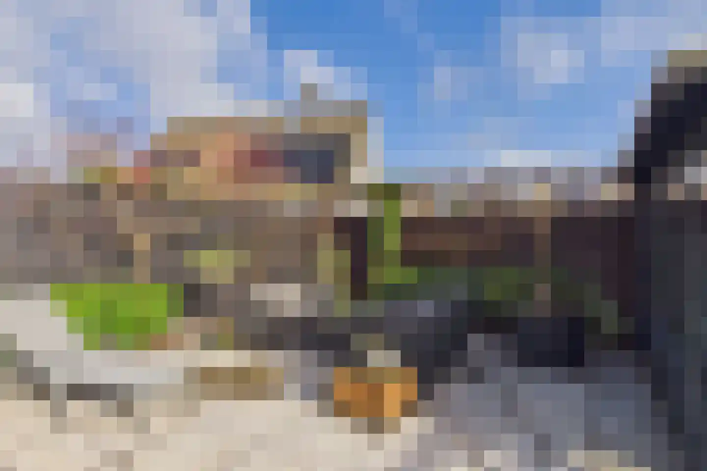 Aalscholver 14 Terneuzen thumbnail 29
