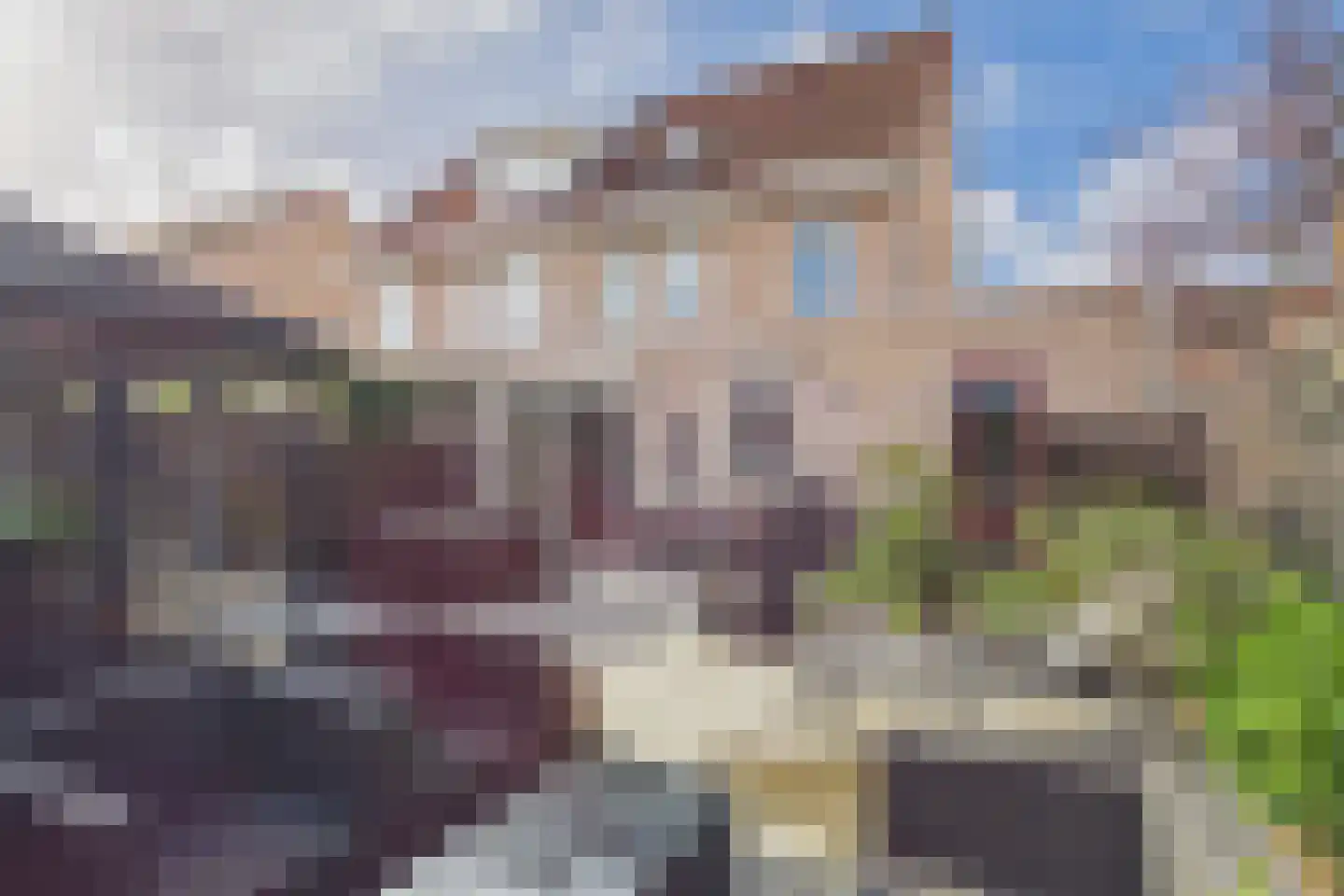Aalscholver 14 Terneuzen thumbnail 30