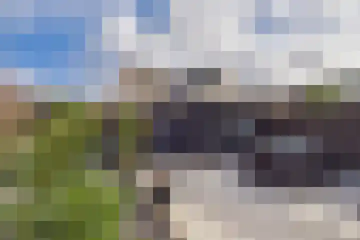 Aalscholver 14 Terneuzen thumbnail 30