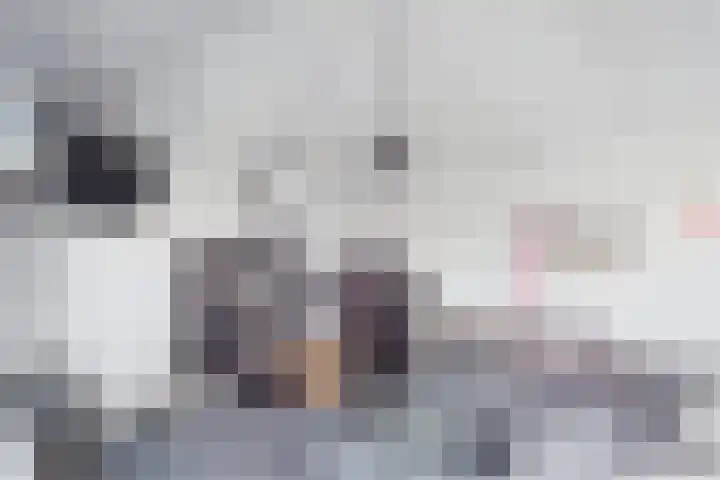 Aalscholver 14 Terneuzen thumbnail 31