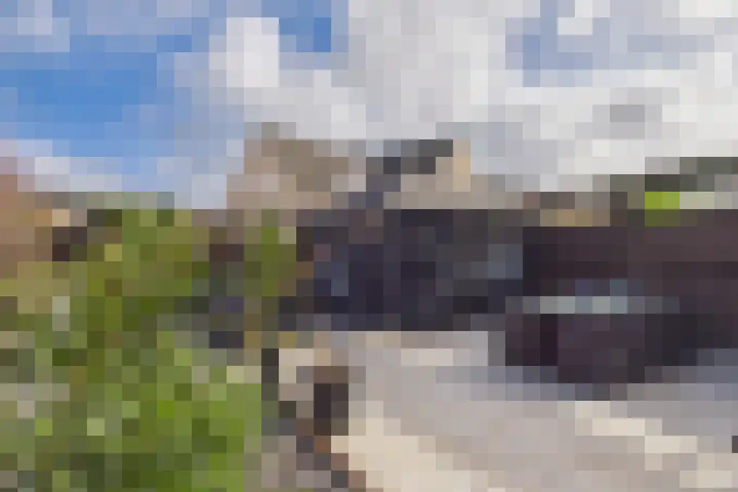 Aalscholver 14 Terneuzen thumbnail 31