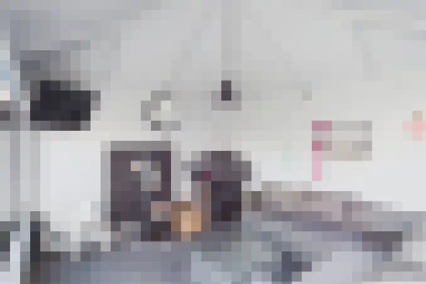 Aalscholver 14 Terneuzen thumbnail 32