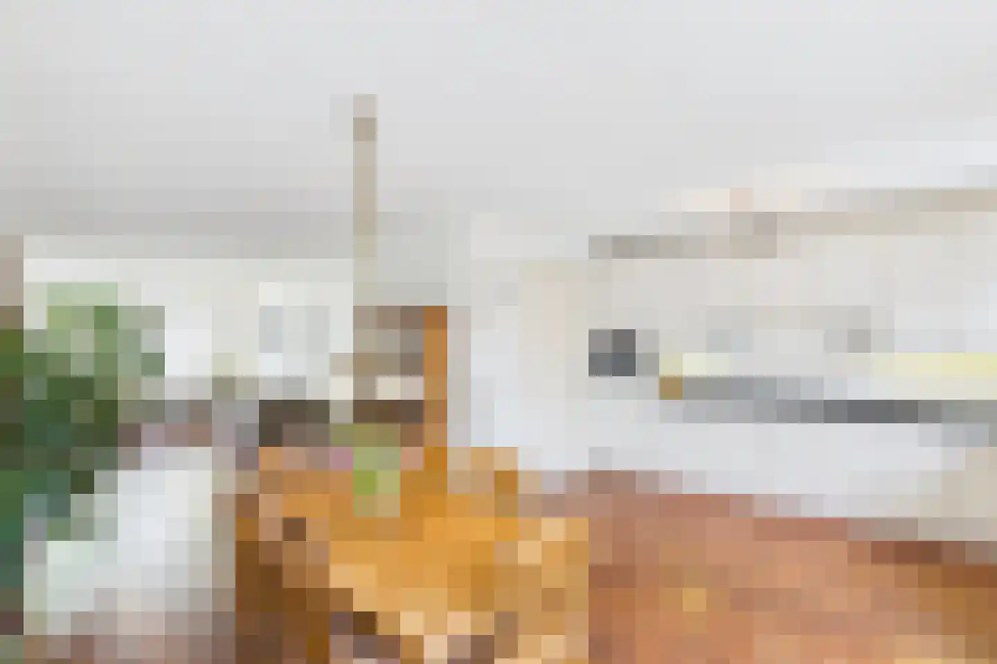 Aalscholver 14 Terneuzen thumbnail 4