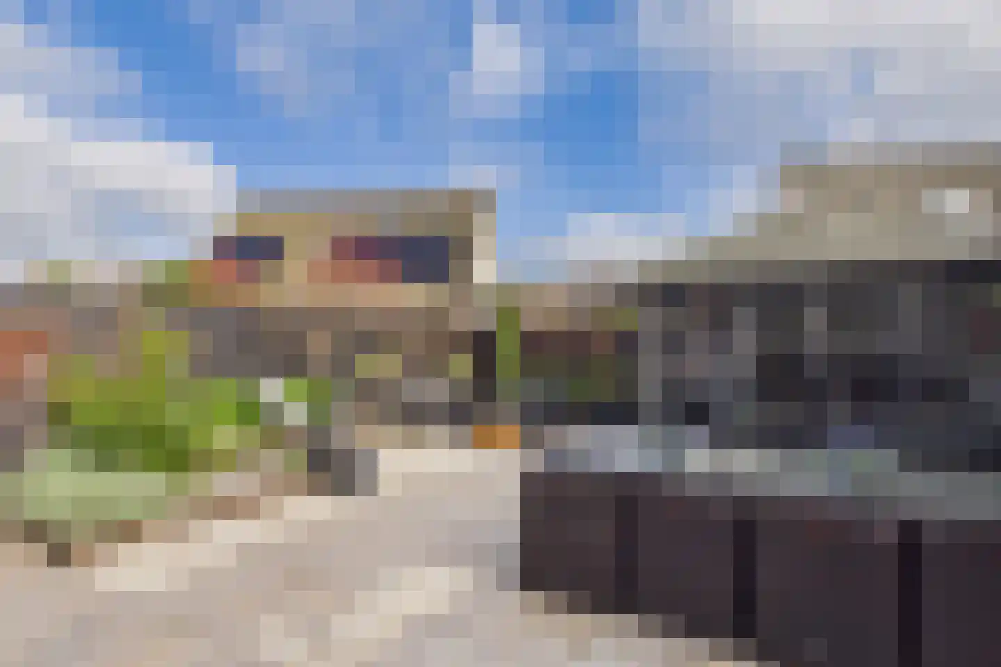 Aalscholver 14 Terneuzen thumbnail 5