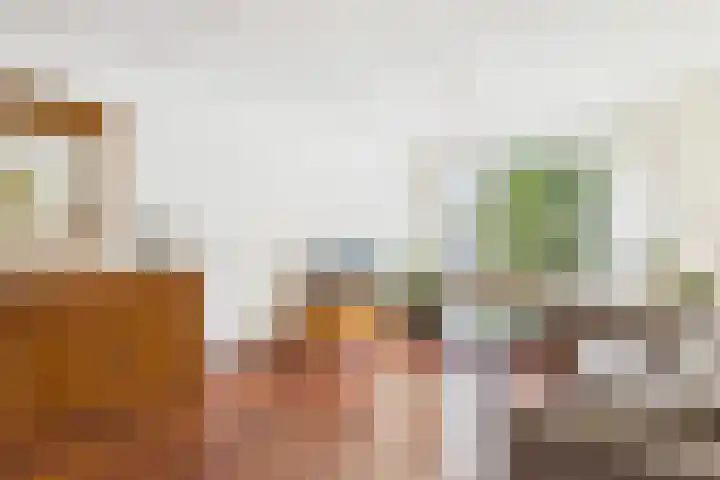Aalscholver 14 Terneuzen thumbnail 6