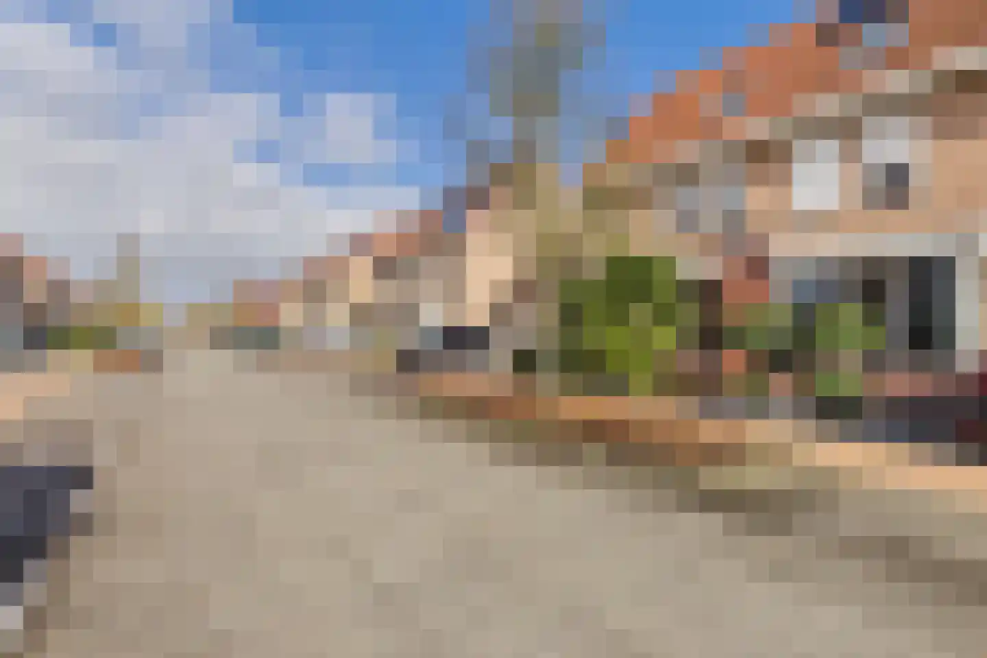 Aalscholver 14 Terneuzen thumbnail 6