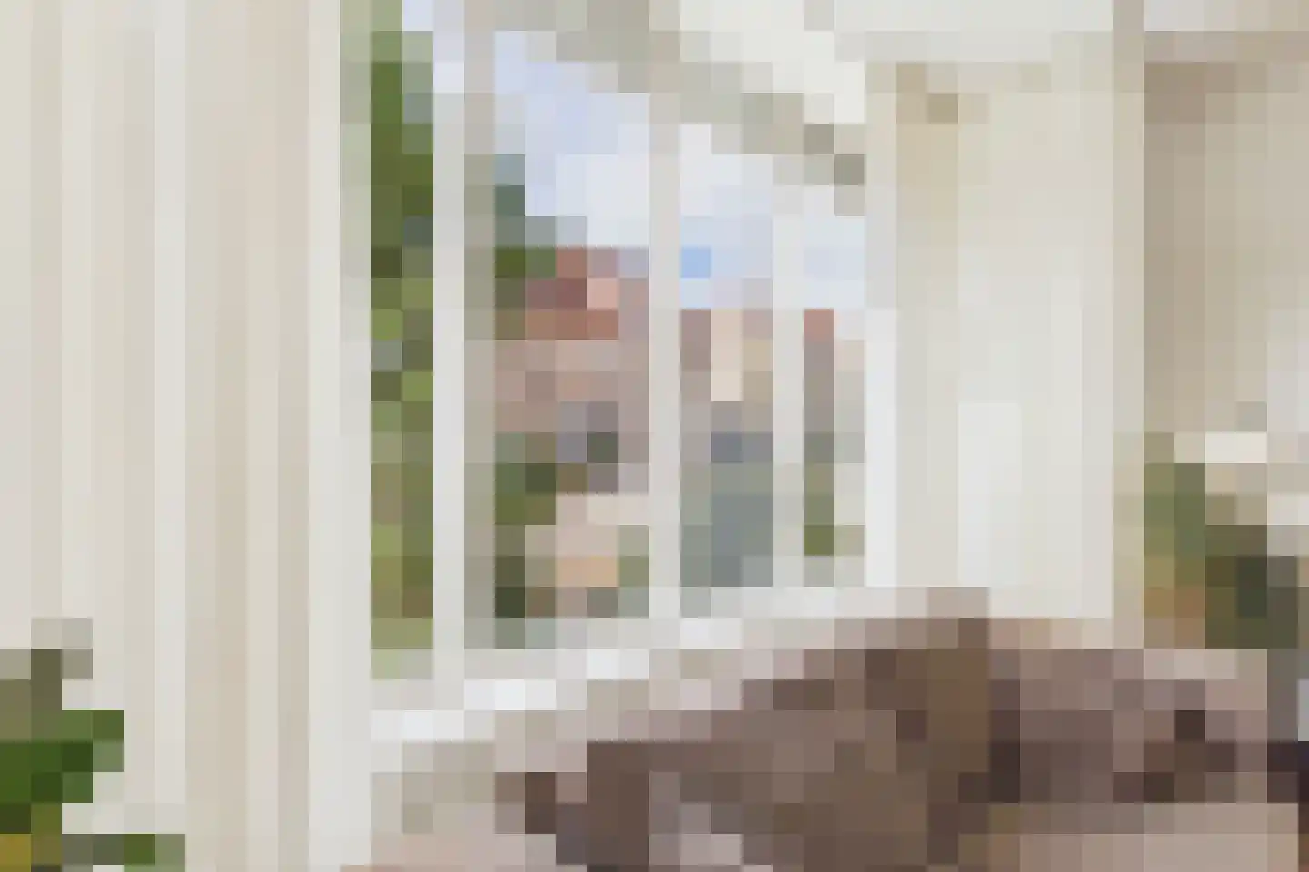 Aalscholver 14 Terneuzen thumbnail 7