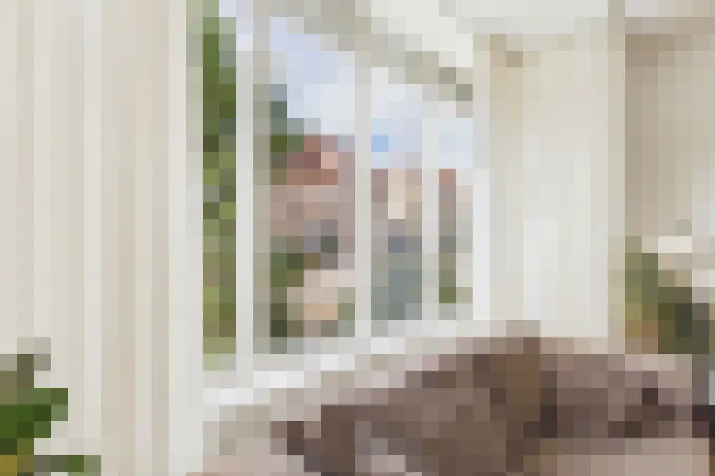 Aalscholver 14 Terneuzen thumbnail 8