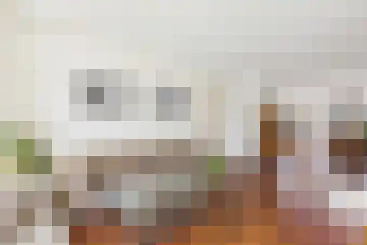 Aalscholver 14 Terneuzen thumbnail 8