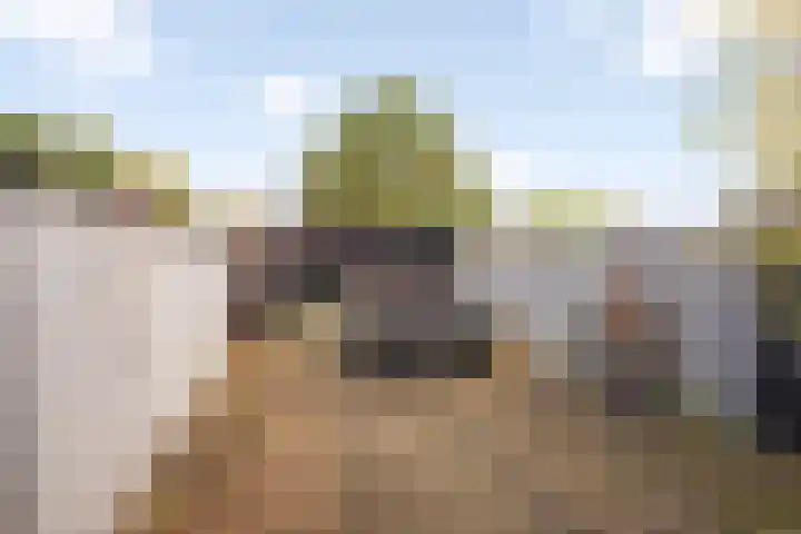 Aalscholver 15 Muiderberg thumbnail 27
