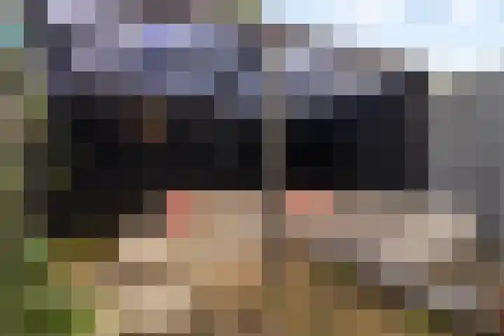 Aalscholver 15 Muiderberg thumbnail 28