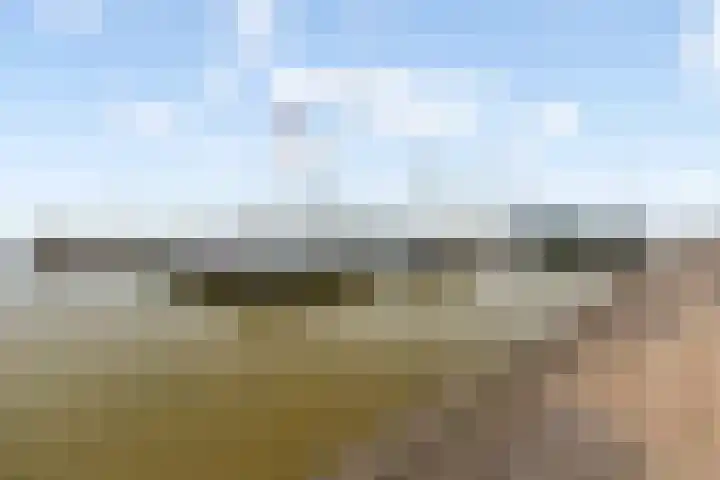 Aalscholver 15 Muiderberg thumbnail 33