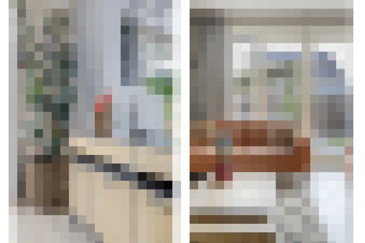 Aalscholver 16 Hendrik-Ido-Ambacht thumbnail 11