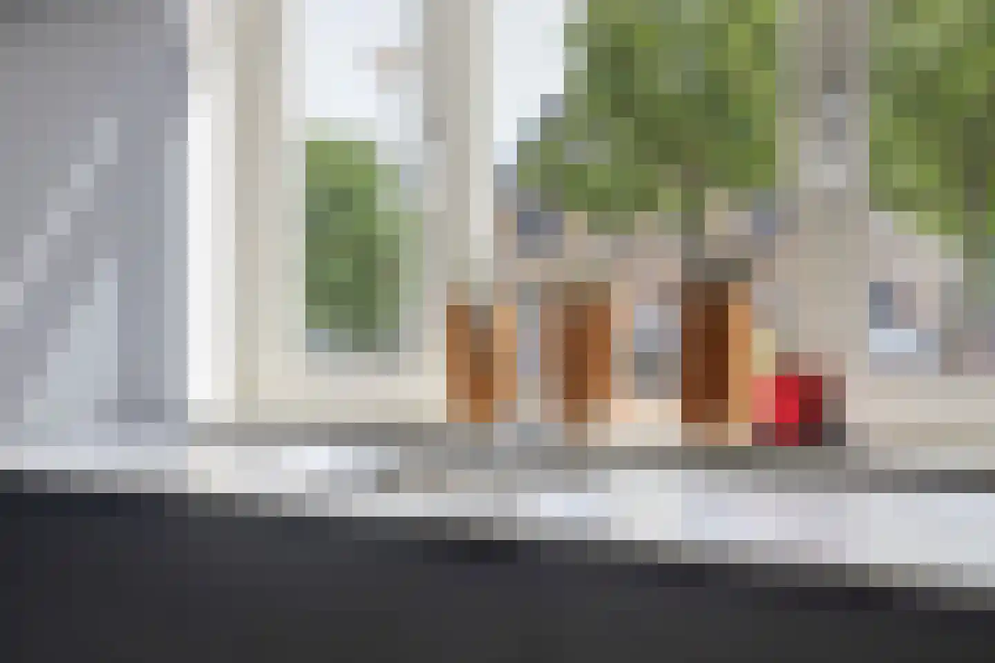 Aalscholver 16 Hendrik-Ido-Ambacht thumbnail 16