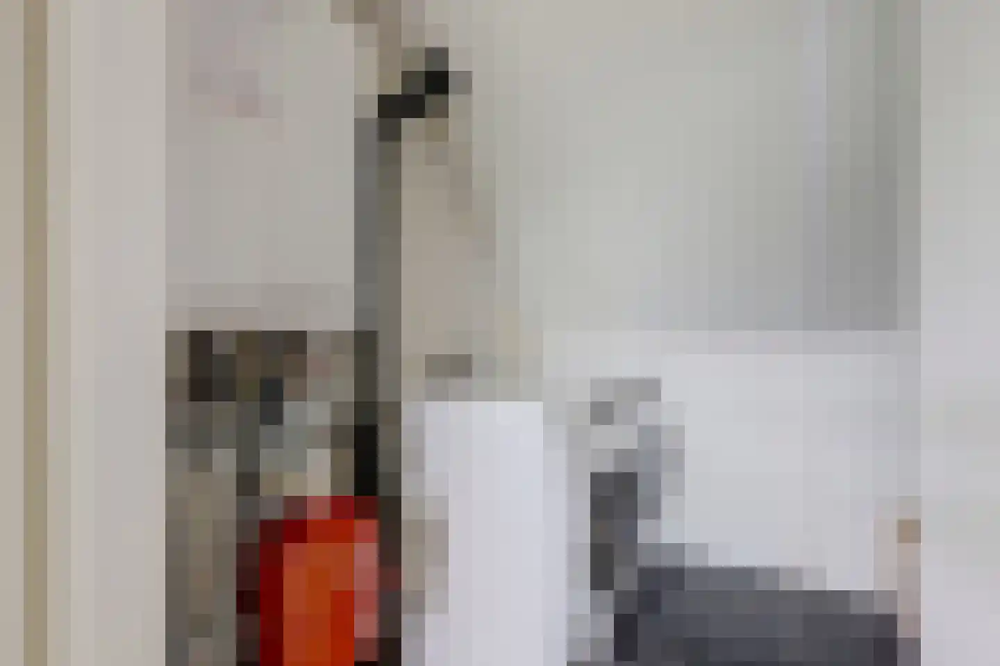 Aalscholver 16 Hendrik-Ido-Ambacht thumbnail 30