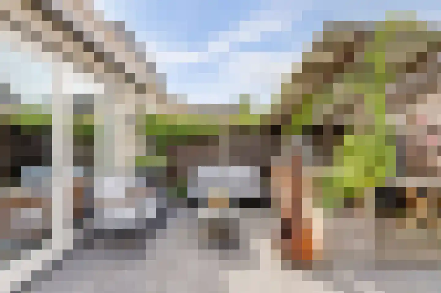Aalscholver 16 Hendrik-Ido-Ambacht thumbnail 37