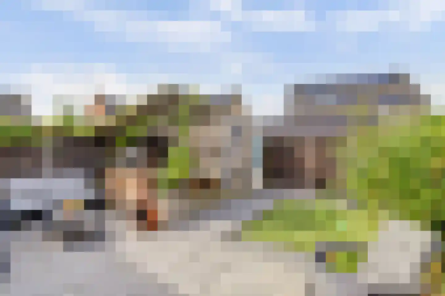 Aalscholver 16 Hendrik-Ido-Ambacht thumbnail 38