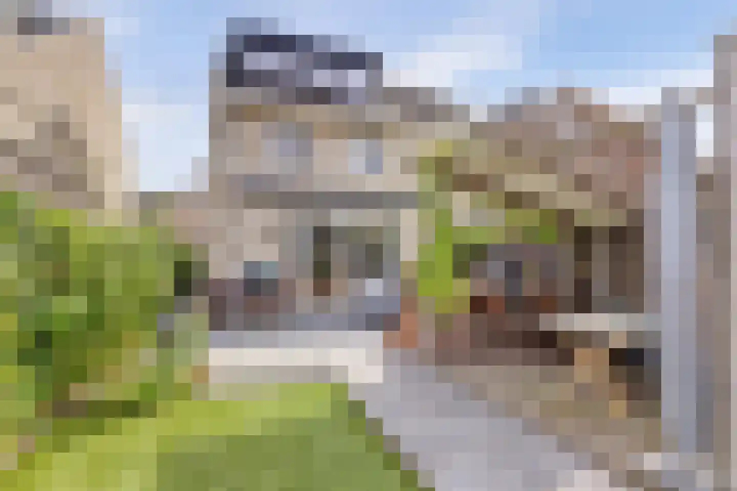 Aalscholver 16 Hendrik-Ido-Ambacht thumbnail 39
